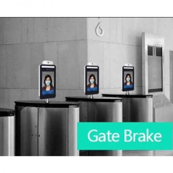 Digital Thermometer - Gate Brake